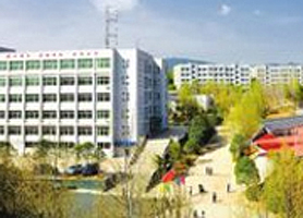 上海市嘉定区城实验学校　　